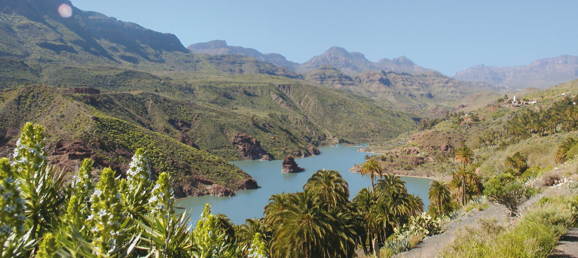 Rural landscape of the Canary Islands